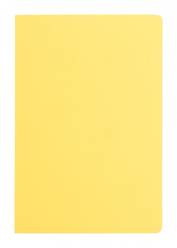 Dienel carnețel  galben