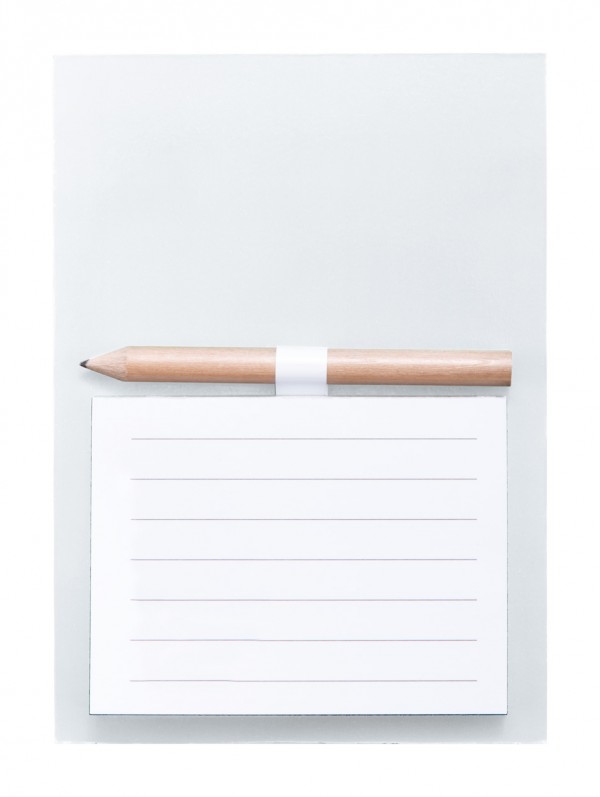 Pecfri blocnotes magnetic  alb